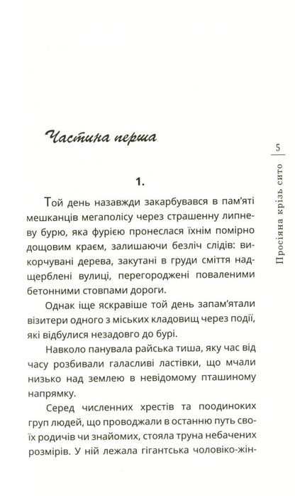 Sifted through a sieve / Просіяна крізь сито Ирина Василенко 978-966-136-818-6-5