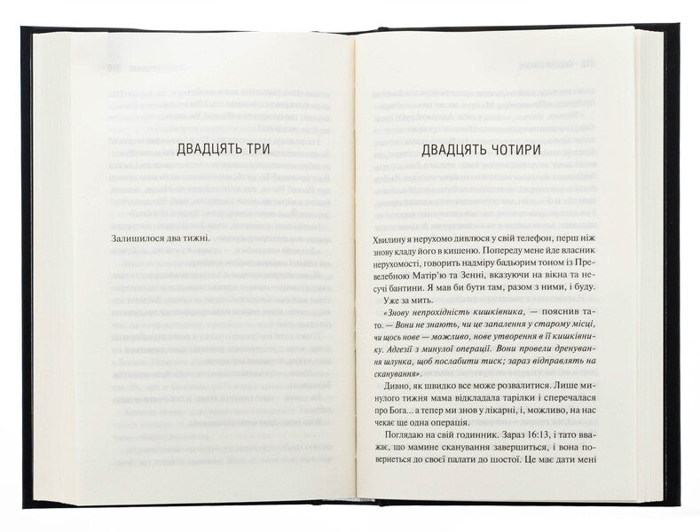 Sinner. Book 2 / Грішник. Книга 2 Sierra Simone / Сьєрра Сімоне 9786171513617-6