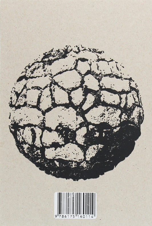 Sisyphus XX. Book vs. politics / Сізіф ХХ. Книжка vs.політика Константин Родик 978-617-516-011-4-2