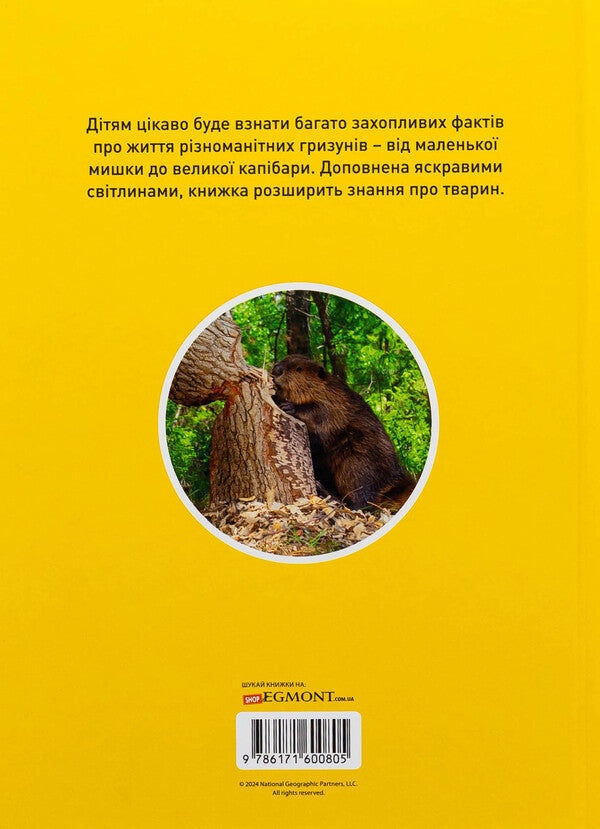 Skryab! 100 interesting facts about rodents / Шкряб! 100 цікавих фактів про гризунів Роуз Девидсон 9786171600805-2