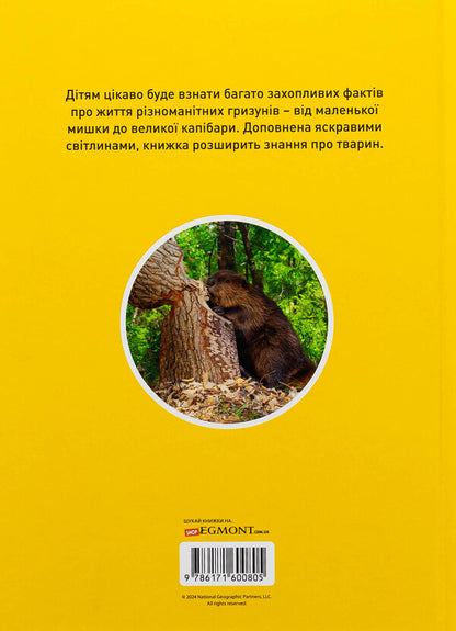 Skryab! 100 interesting facts about rodents / Шкряб! 100 цікавих фактів про гризунів Роуз Девидсон 9786171600805-2