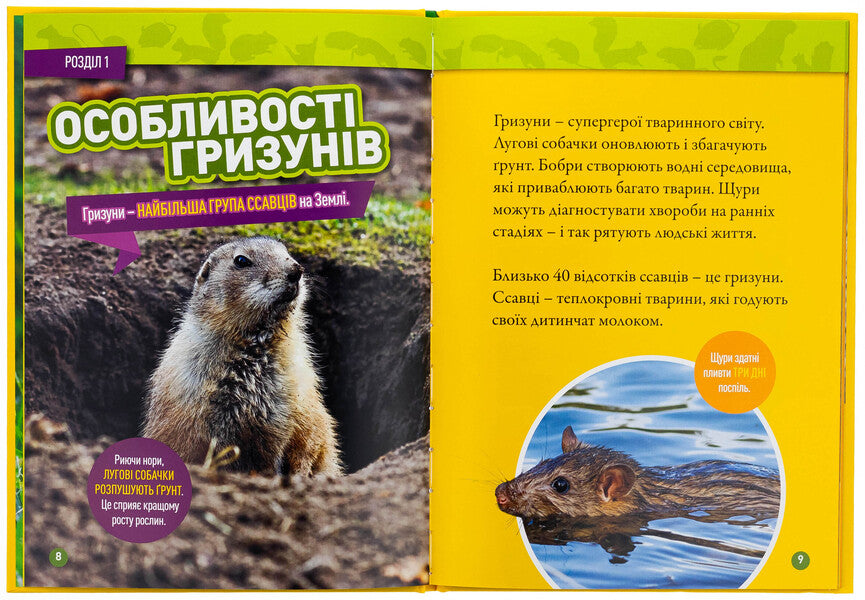 Skryab! 100 interesting facts about rodents / Шкряб! 100 цікавих фактів про гризунів Роуз Девидсон 9786171600805-5