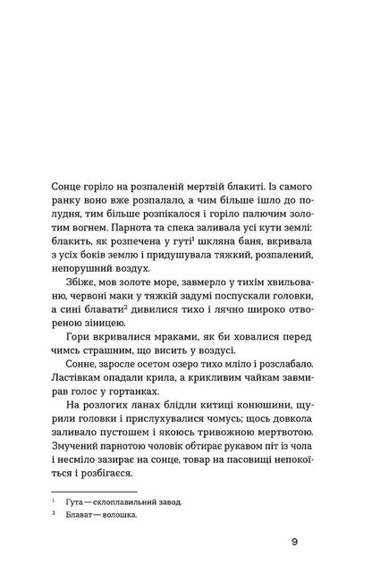 Skyscraper Story / Хмарниця. Оповідання Наталья Кобринская 978-617-8606-61-9-5