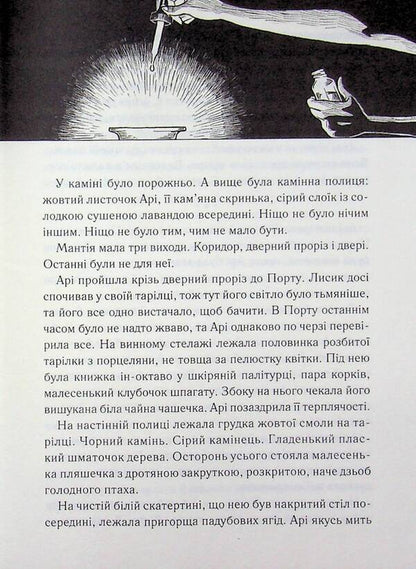 Slow Contemplation Of Everything Quiet - Повльне споглядання всього тихого Patrick Rothfuss - Патрк Ротфус 9786171520769-6