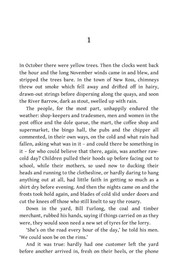 Small Things Like These Claire Keegan / Клэр Киган 9780571368709-2