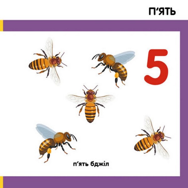 Smart books. Consider insects / Смарт-книги. Лічимо комах  9789667503048-5