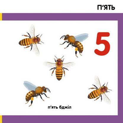 Smart books. Consider insects / Смарт-книги. Лічимо комах  9789667503048-5