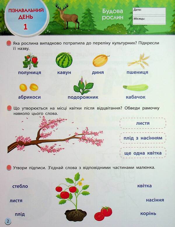 Smartlit. I Go To 3 Grade / SMARTліто. Іду у 3 клас Natalia Koval / Наталія Ковал 9786170994622-3