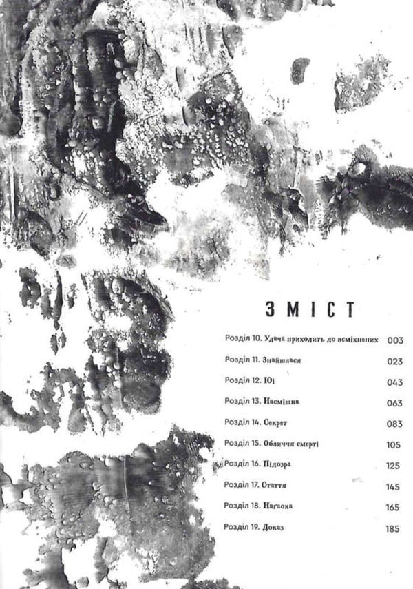 Smiling Volume 2 / Усміхнені. Том 2 Mitei Hattori / Мітей Хатторі 9786178771690-6