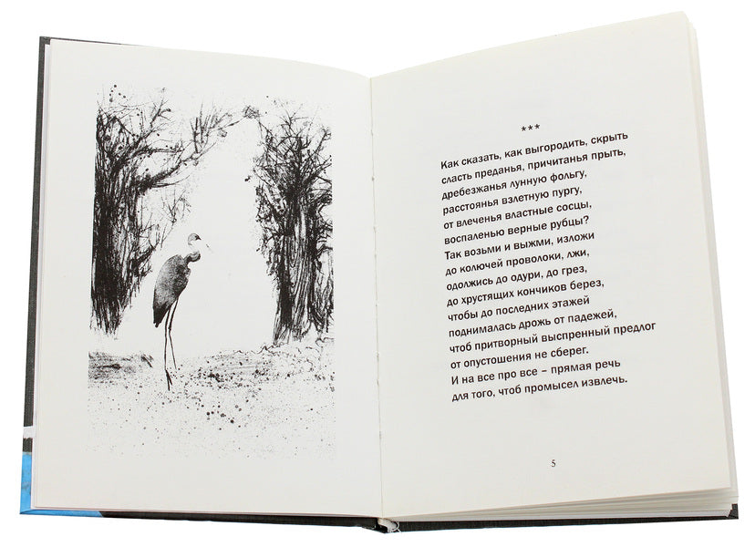 Snowman. Book of poems / Снеговик. Книга стихов Дмитрий Бураго 978-966-489-297-8-4