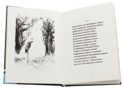 Snowman. Book of poems / Снеговик. Книга стихов Дмитрий Бураго 978-966-489-297-8-4