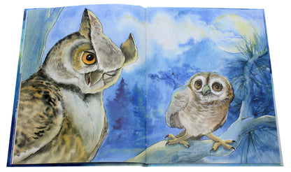 Sovenya, who took Luna for walks / Совеня, яке водило на прогулянки луну Ева Сольськая 978-617-09-6817-3-5