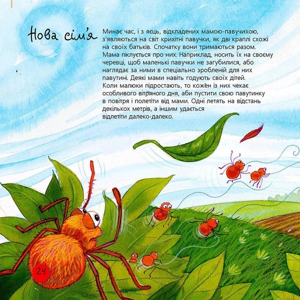 Spiders / Павуки Alejandro Algara / Алехандро Альгара 9789661031271-5