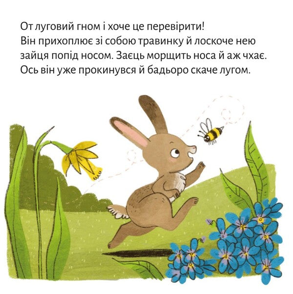 Spring Pranks - Веснян витвки - Author not specified 9786177781522-5