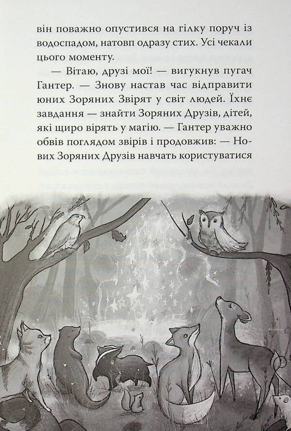 Star Friends. Book 1. The Enchanted Mirror / Зоряні Друзі. Книга 1. Зачароване дзеркало Линда Чепмен 978-617-8512-75-0-5