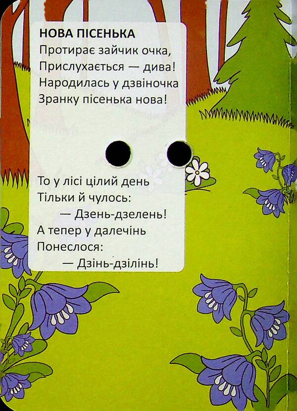Stockings for geese / Панчішки для гусей Владимир Верховень 978-966-989-348-2-3