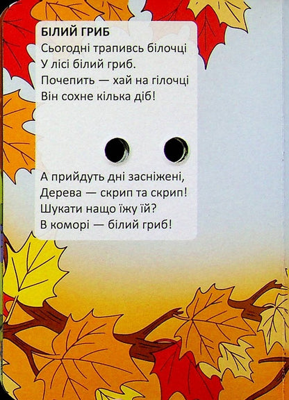Stockings for geese / Панчішки для гусей Владимир Верховень 978-966-989-348-2-5