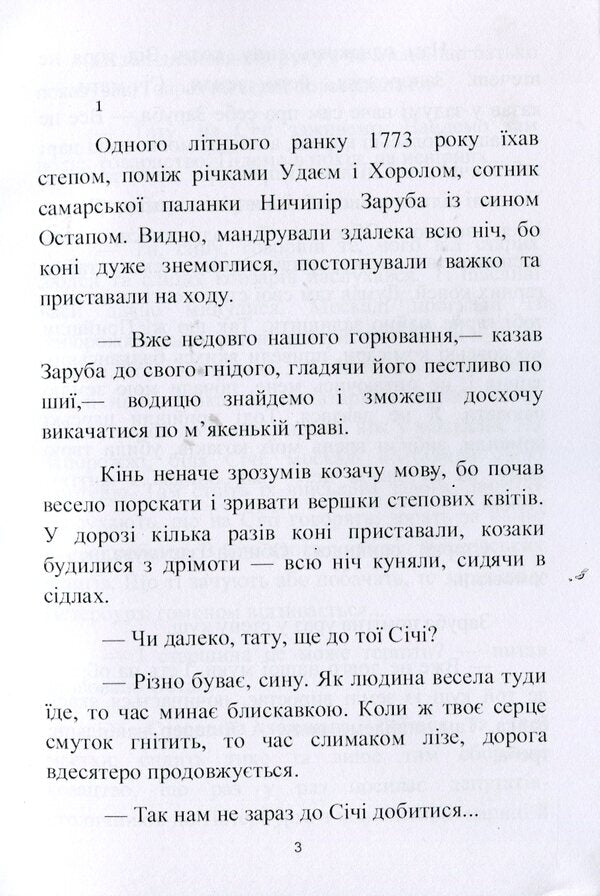 Stolen son. A historical story from the last years of Zaporizhzhya Sich / Украдений син. Історичне оповідання з останніх років Запорізької Січі Андрей Чайковский 978-611-01-1990-0-4