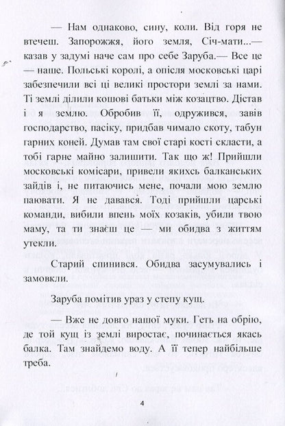Stolen son. A historical story from the last years of Zaporizhzhya Sich / Украдений син. Історичне оповідання з останніх років Запорізької Січі Андрей Чайковский 978-611-01-1990-0-5