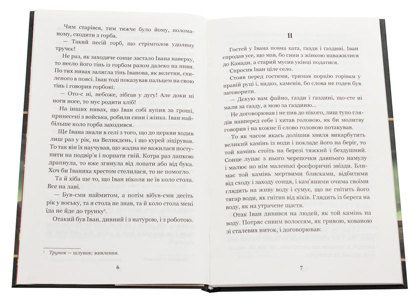 Stone cross. Novels / Камінний хрест. Новели Василий Стефаник 978-966-10-5428-7-4