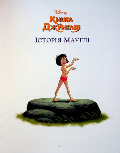 Stories For The Night A Collection Of Fairy Tales - стор на нч Колекця казок - Author not specified 9789669439536-4