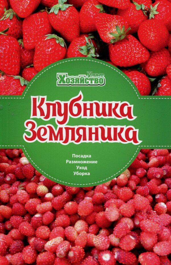 Strawberry. strawberries / Клубника. Земляника  978-966-2263-63-3-1