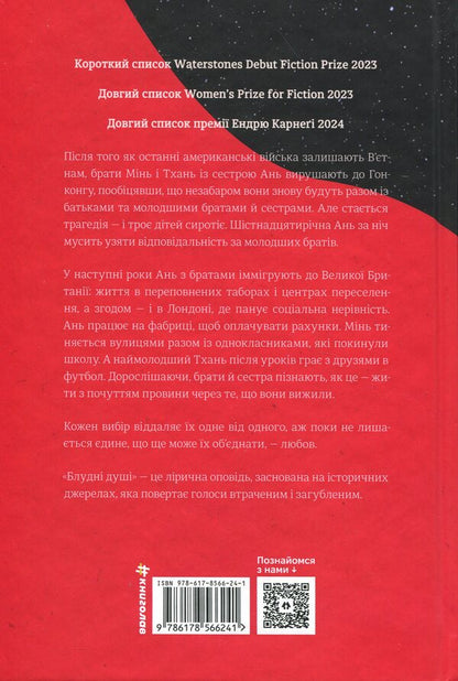 Stray souls / Блудні душі Сесиль Пин 978-617-8566-24-1-2