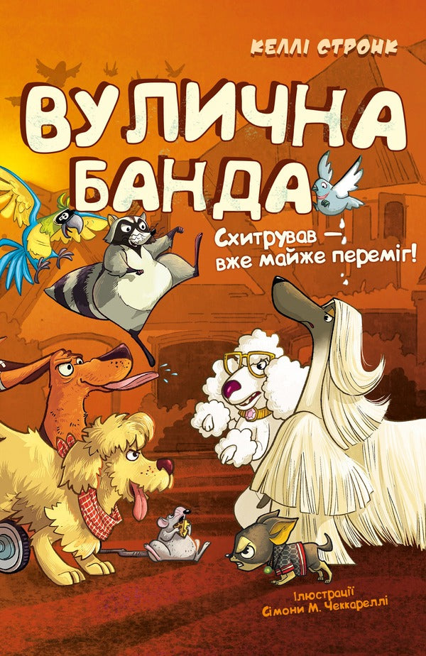 Street Gang Set Of 2 Books - Вулична банда комплект з 2-х книг Kelly Stronk - Келл Стронк 9786175484548,9786175485521-4