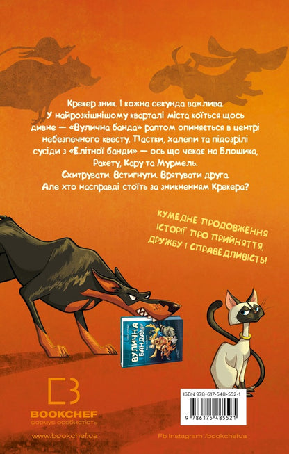 Street Gang Set Of 2 Books - Вулична банда комплект з 2-х книг Kelly Stronk - Келл Стронк 9786175484548,9786175485521-5
