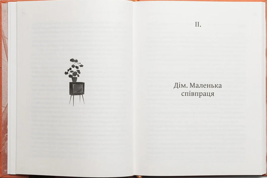 Street Of Those Involved - Вулиця причетних Vera Kuryko - Вра Курико 9786179551451-3