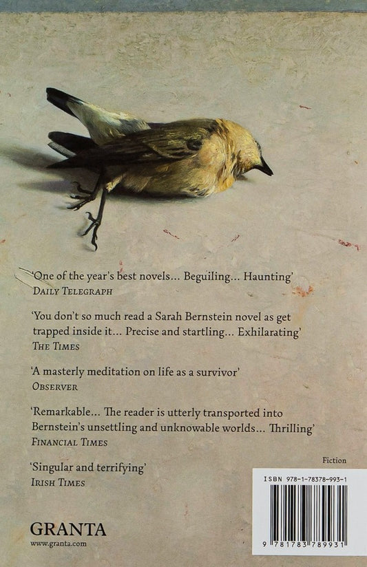 Study for Obedience / Study for Obedience Сара Бернштейн 9781783789931-2