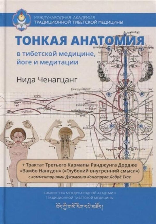 Subtle Anatomy In Tibetan Medicine, Yoga And Meditation - Тонкая анатомия в тибетской медицине, йоге и медитации Nida Chenagtsang - Нида Ченагцанг Does not apply-1