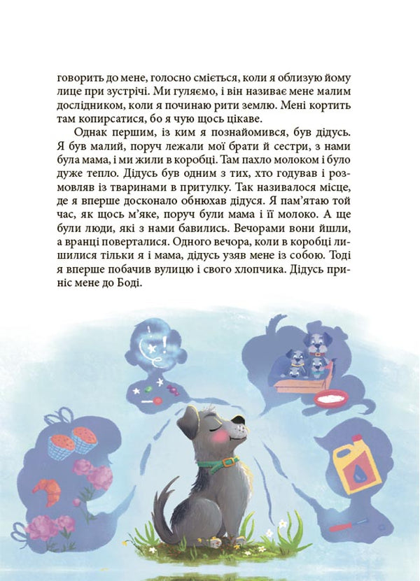 Sulfur Dream. Stories For Children About Humanity, Courage And Dreaming / Мрія Сірка. Оповідання для дітей про людяність, сміливість і здійснення мрій Ekaterina Duboiskaya / Екатерина Дубойська 9786170043429-6