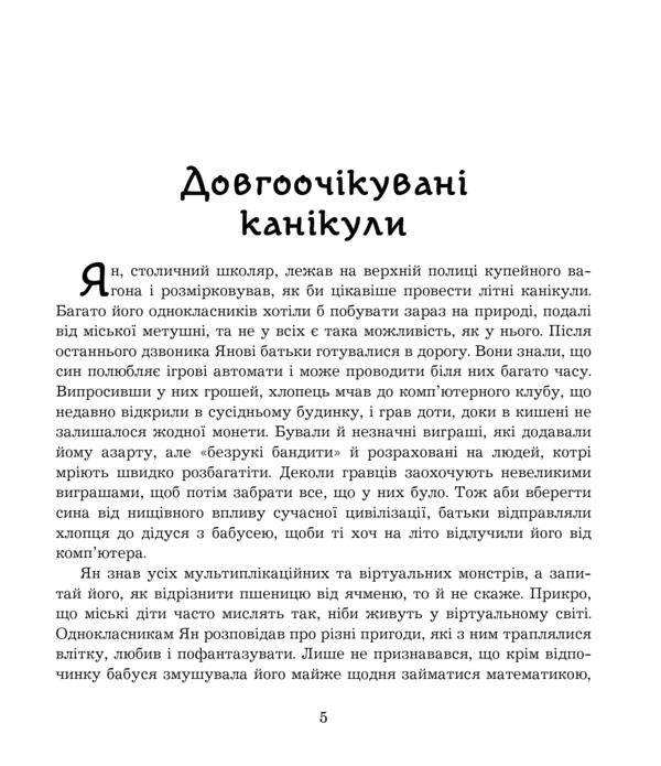 Summer fun / Літні забави Нина Фиалко 9789661059602-5