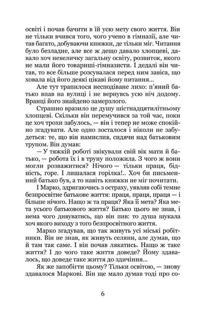 Sunbeam / Сонячний промінь Boris Grynchenko / Борис Грінченко 9786178052263-5