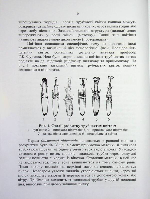Sunflower: ontogeny, modern aspects of growing technology / Соняшник: онтогенез, сучасні аспекти технології вирощування Николай Шевченко, Александр Поляков, Артур Рожков 978-617-8554-16-3-6