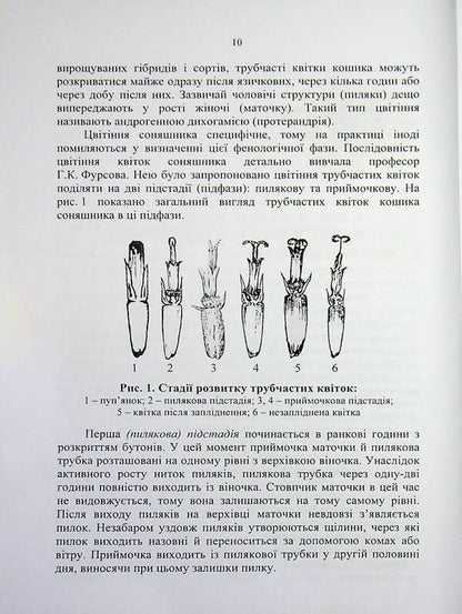 Sunflower: ontogeny, modern aspects of growing technology / Соняшник: онтогенез, сучасні аспекти технології вирощування Николай Шевченко, Александр Поляков, Артур Рожков 978-617-8554-16-3-6