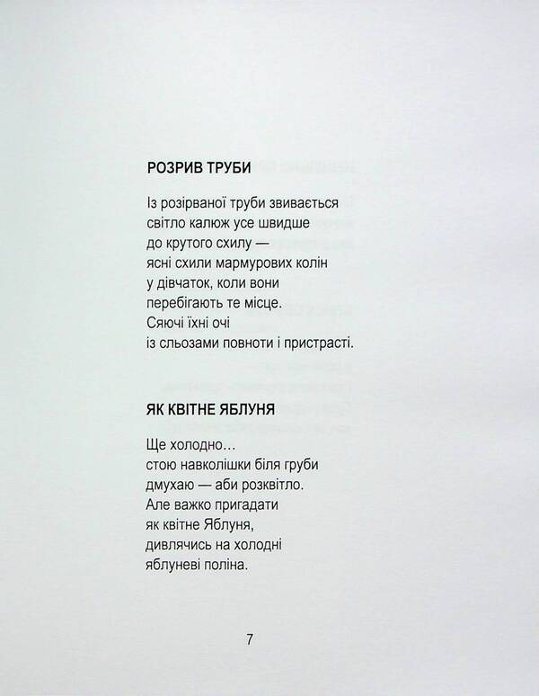 Sunken rings / Затонулі персні Николай Воробьев 9786178252892-3