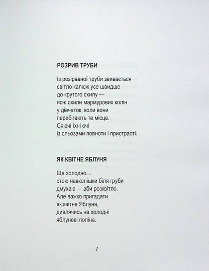 Sunken rings / Затонулі персні Николай Воробьев 9786178252892-3