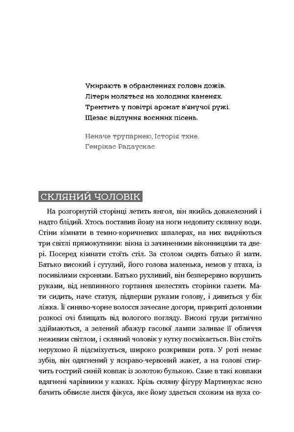 Sunny days / Сонячні дні Антанас Шкема 978-617-7418-21-3-4