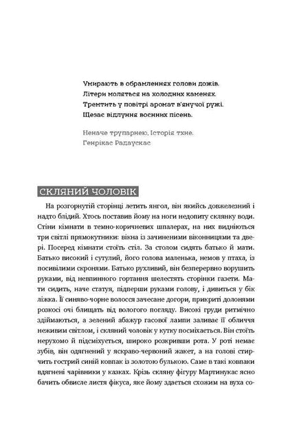 Sunny days / Сонячні дні Антанас Шкема 978-617-7418-21-3-4