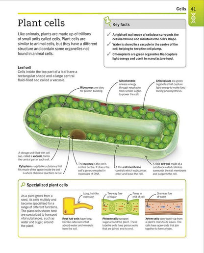 Super Simple Biology. The Ultimate Bitesize Study Guide / Author not specified 9780241390467-3