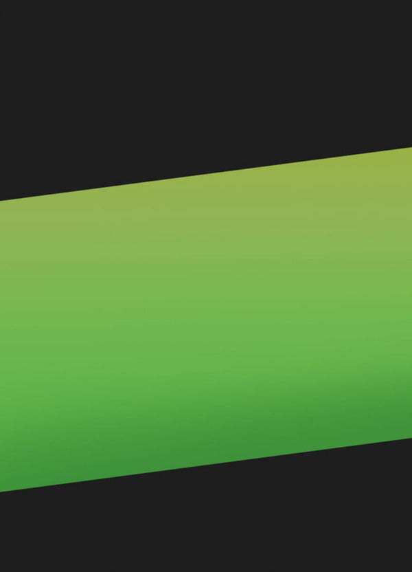 Swamp Prince / Болотний принц Evdokiya Makarenko / Євдокія Макаренко 9786175602416-2