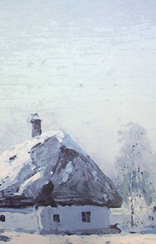 Tales In the middle of the dark night. Under the quiet willows / Повісті. Серед темної ночі. Під тихими вербами Борис Гринченко 978-966-2789-19-5-2