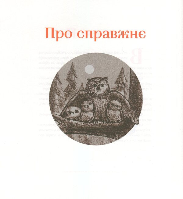 Tales Of An Ardent Ukrainian / Казки затятого українця Vladimir Kolinko / Володимир Колінько 9786177420315-3
