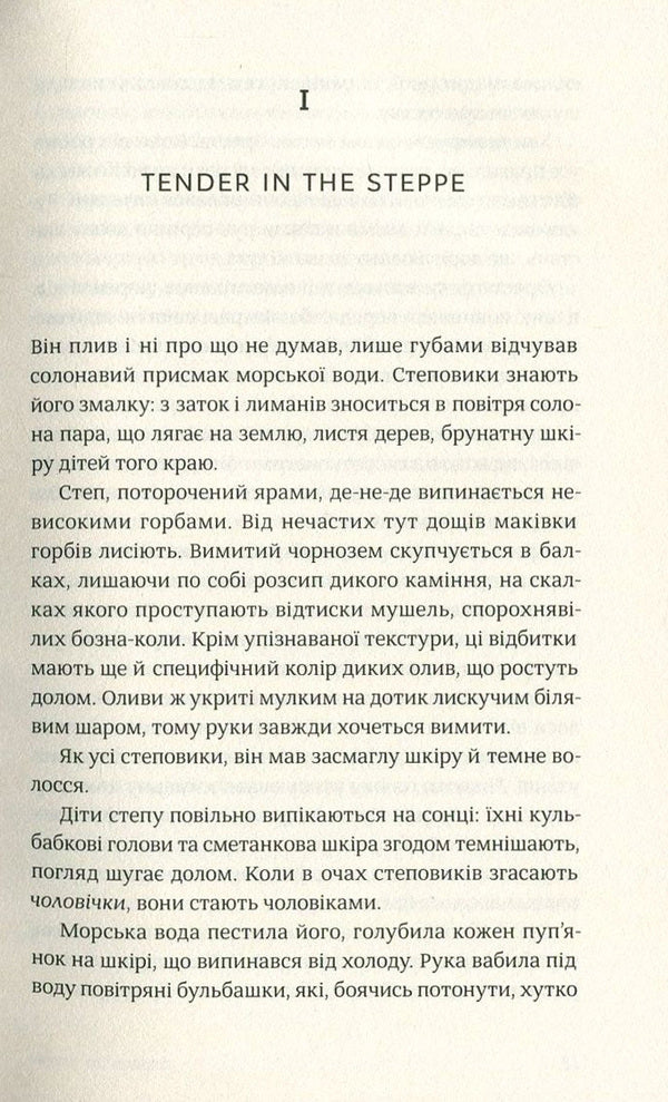 Tangier / Танжер Йван Козленко 978 - 617 - 7286 - 17 - 1-5