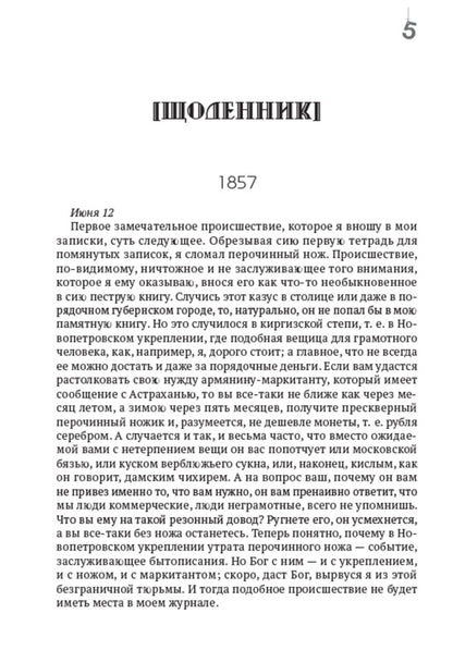 Taras Shevchenko. Collection of works. Volume 5. Diary. Autobiography. Articles. Archaeological notes / Тарас Шевченко. Зібрання творів. Том 5. Щоденник. Автобіографія. Статті. Археологічні нотатки Тарас Шевченко 978-088-0007-05-4-3