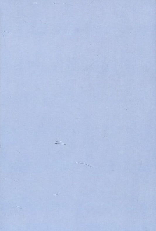 Taras Shevchenko in criticism. Volume 1 / Тарас Шевченко в критиці. Том 1  978-966-8978-55-5-2