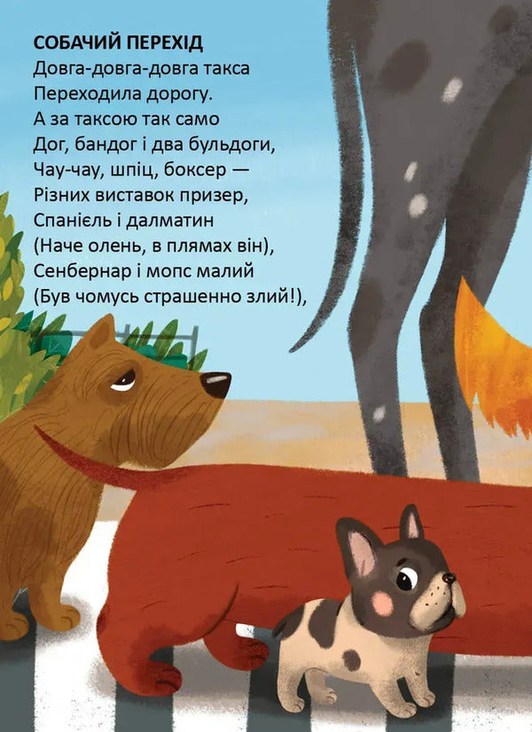 Taxi for taxi / Таксі для такси Владимир Верховень 978-966-989-321-5-5