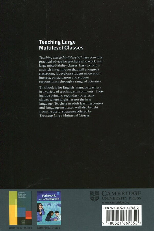 Teaching Large Multilevel Classes Natalie Hess / Натали Гесс 9780521667852-2